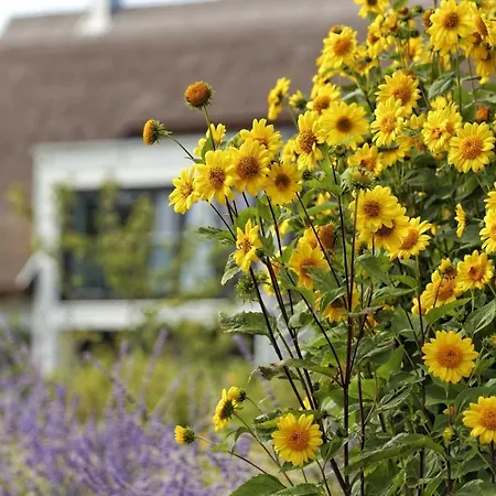 Pier 8 Σπίτι διακοπών Karlshagen