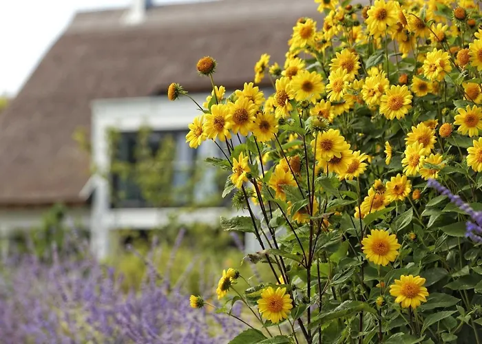 Pier 8 度假居 Karlshagen